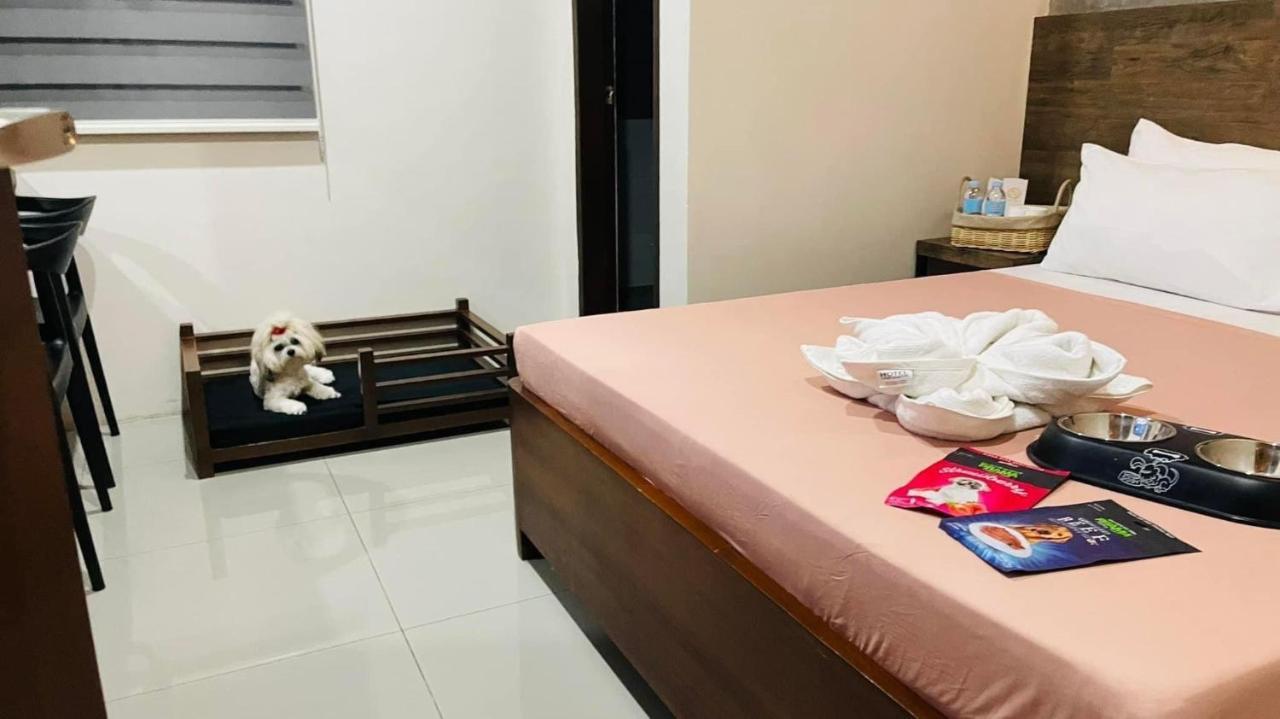 A&E Apartelle Bacolod Luaran gambar