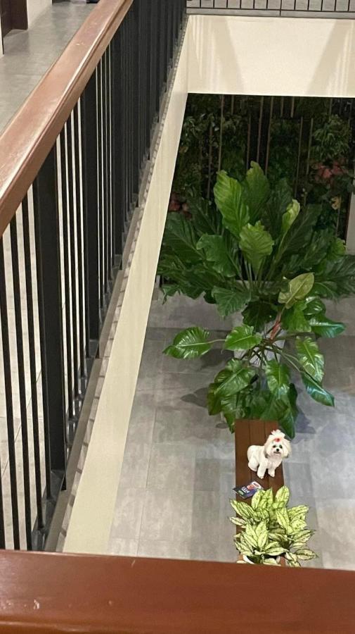 A&E Apartelle Bacolod Luaran gambar